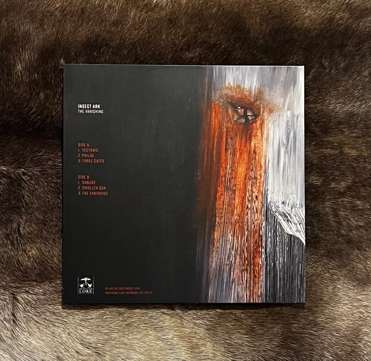 Insect Ark - The Vanishing 12" Black Vinyl