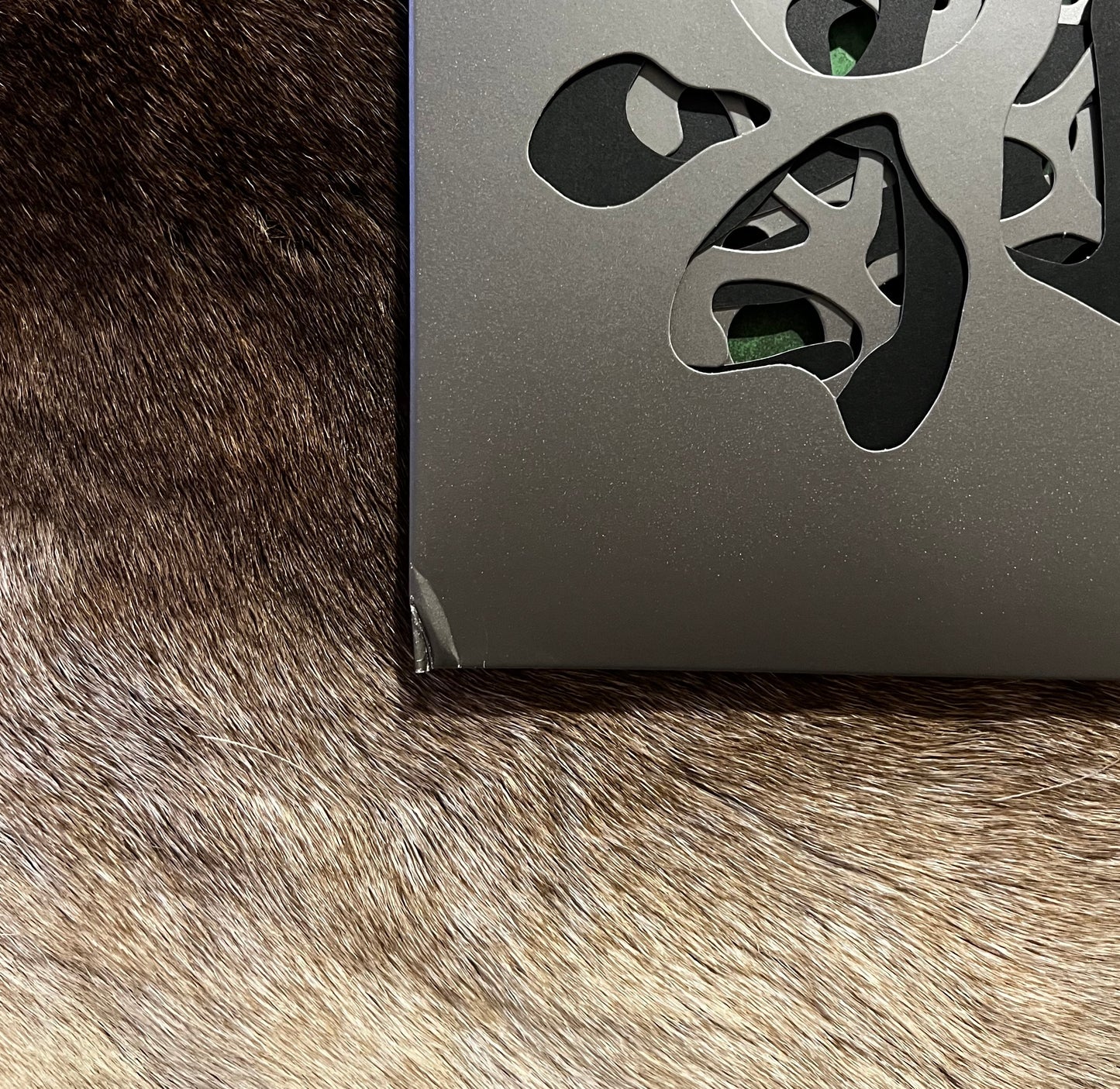 The Ocean - Phanerozoic I: Palaeozoic 12" Black Vinyl