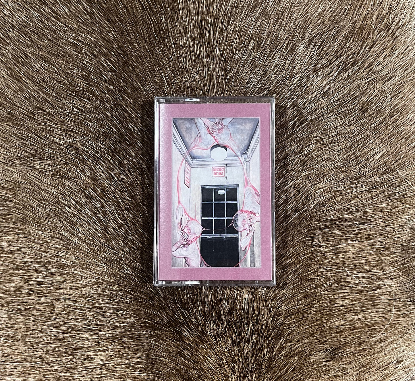 Caina - Gentle Illness Cassetts