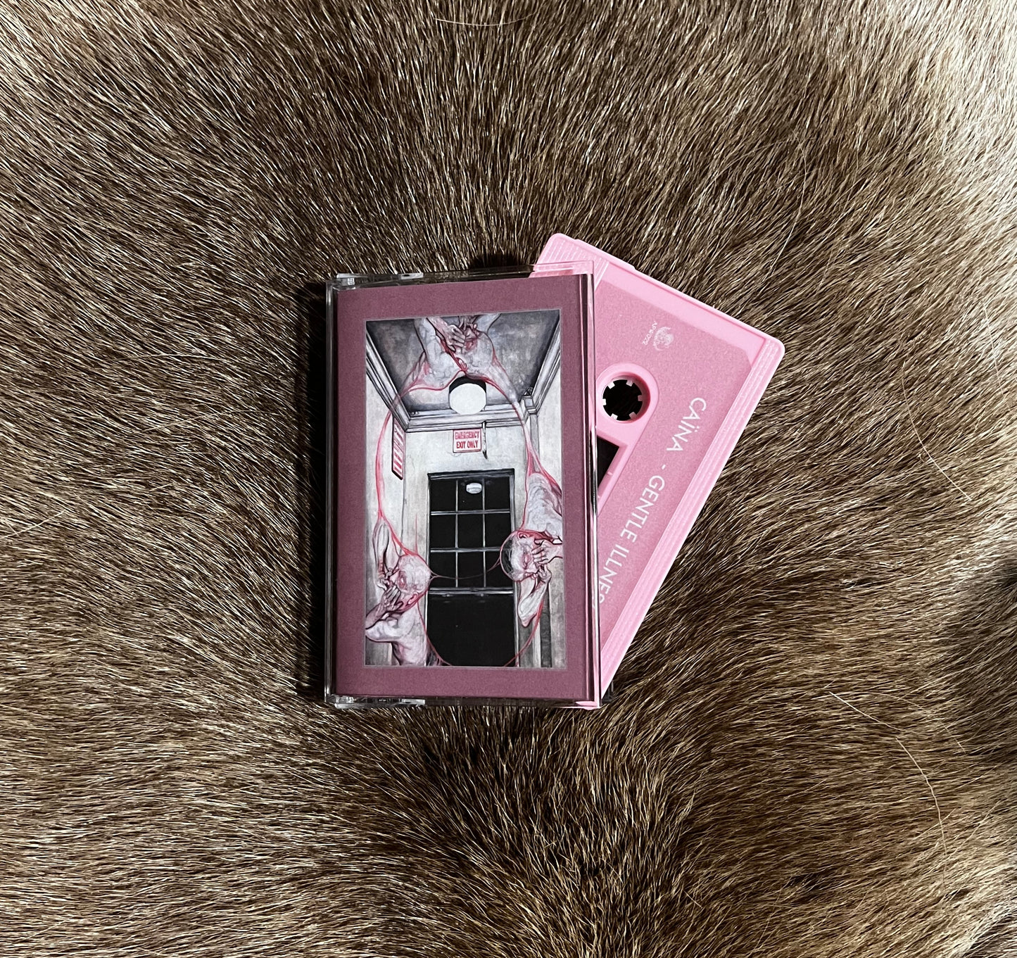 Caina - Gentle Illness Cassetts