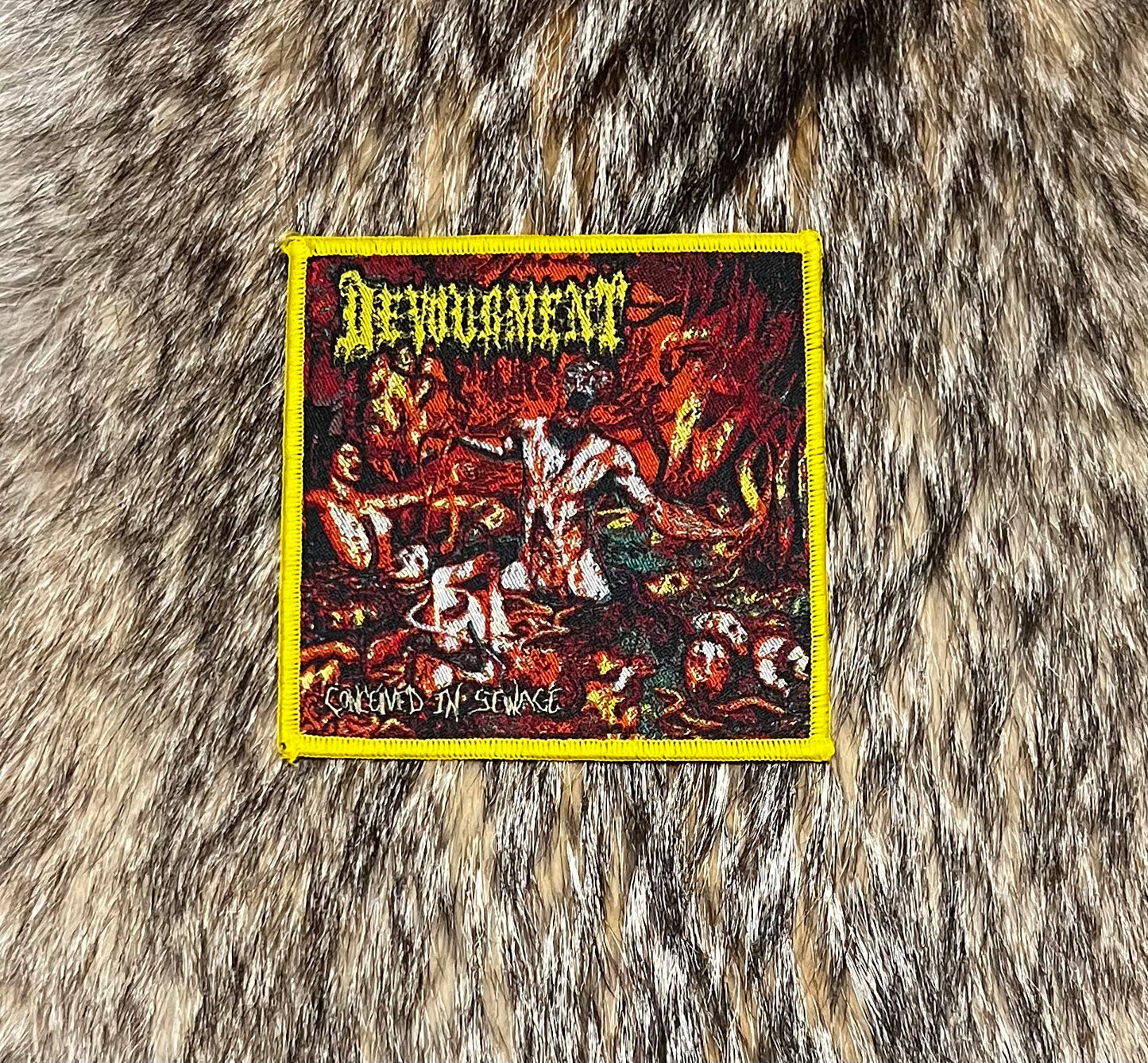 Devourment - Conceived in Sewage Patch