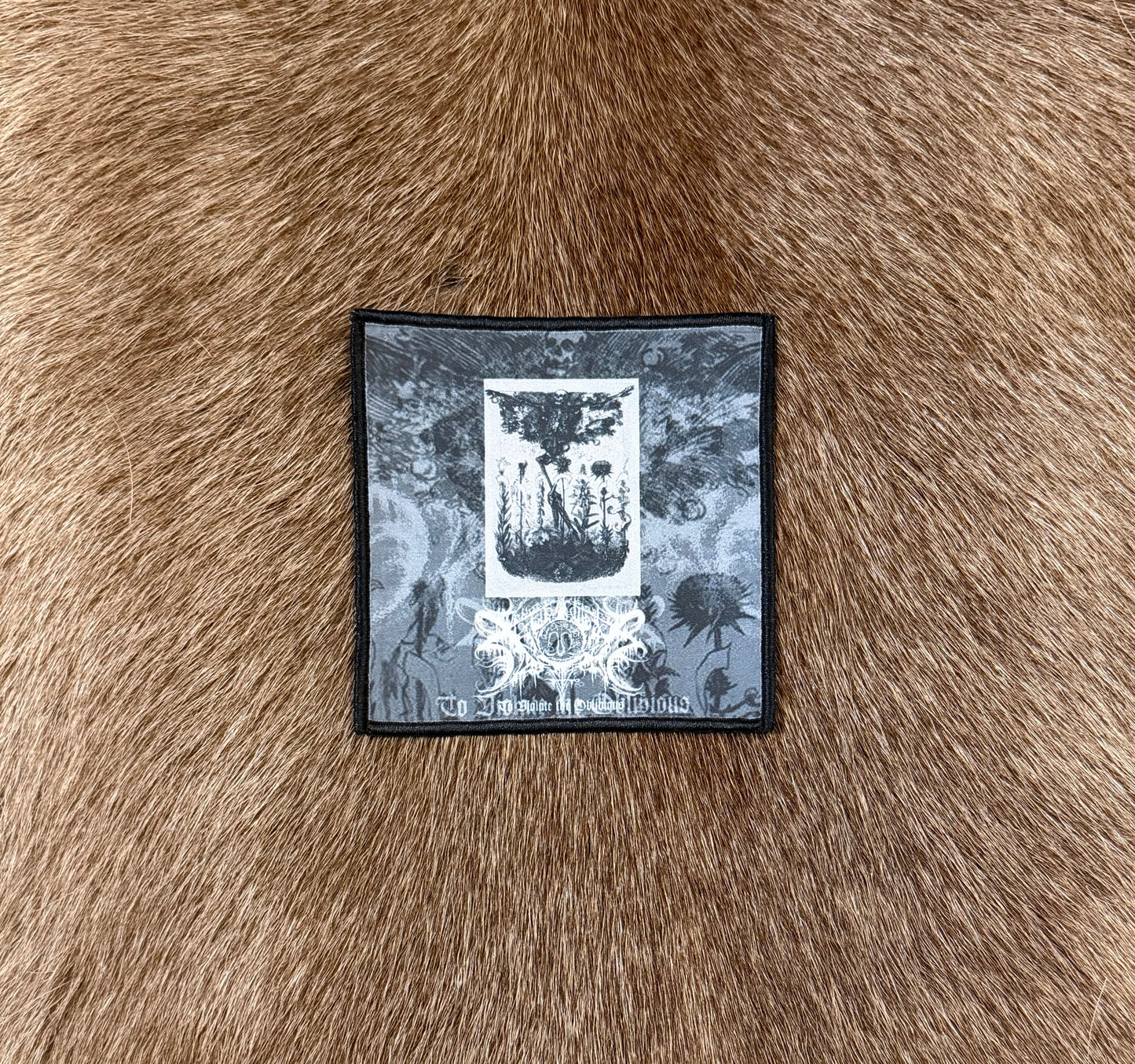 Xasthur - To Violate The Oblivious Patch