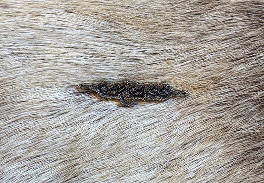 Carcass - Small Retro Logo Metal Pin