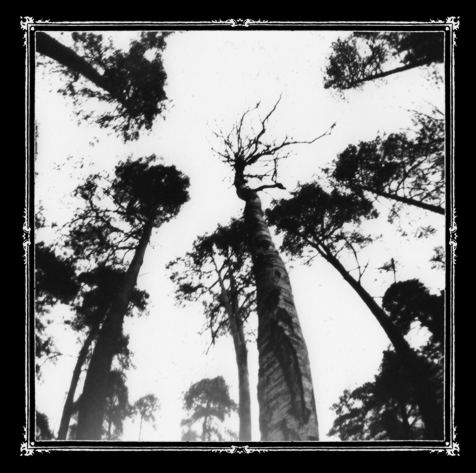 Ancestors Blood - When the Forest Calls CD